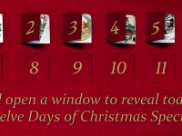 Twelve Days of Christmas - Digital Retail Promotion