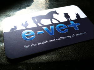 Evet Brand/Business Card