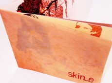 skine_fashion_folio