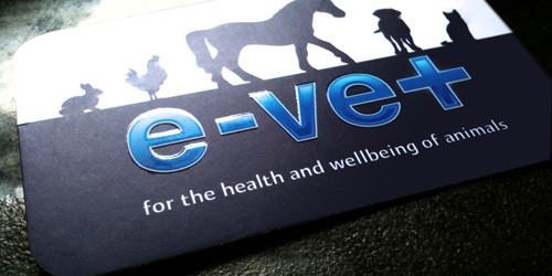 Evet Brand/Business Card