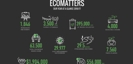 Ecomatters Annual Report 2017